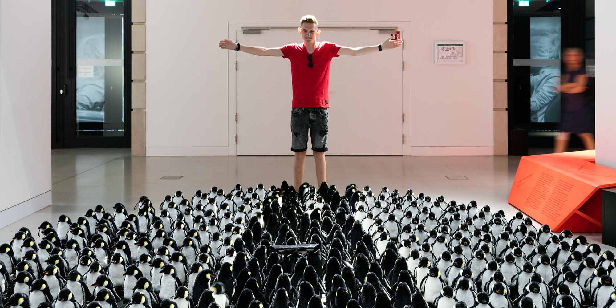 <strong>2017:</strong> Daniel Rozins 450 motorbetriebene Plüsch-Pinguine sind Teil der großen Ars Electronica-Ausstellung im Berliner DRIVE von Volkswagen.