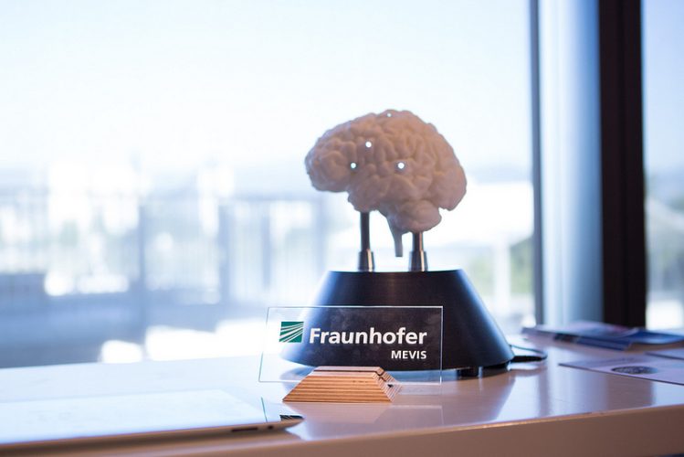 Poking Florian – Fraunhofer MEVIS