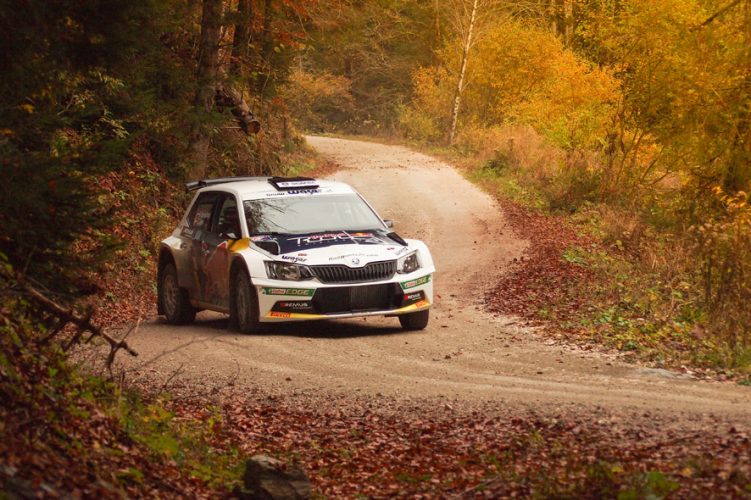 ŠKODA Rallye 3-D: Motorsport Right Up Close