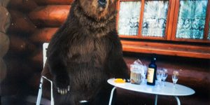 Bär