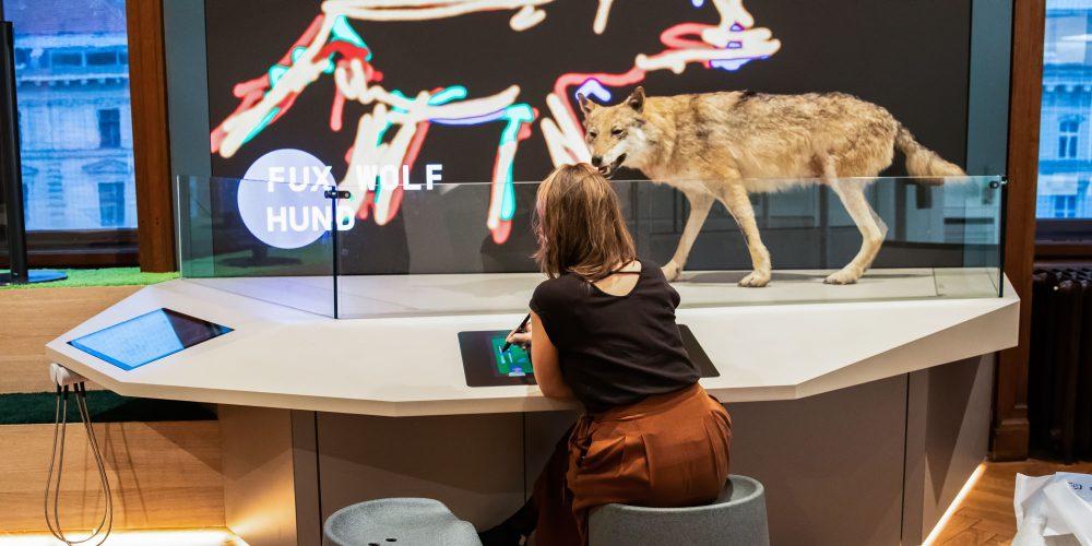 Deck 50: Neue Plattform für Wissenschaftskommunikation im Naturhistorischen Museum Wien