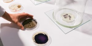 Bio Ink, Ars Electronica Futurelab
