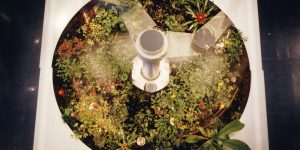 The Telegarden at the Ars Electronica Center