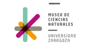 Museo Zaragoza