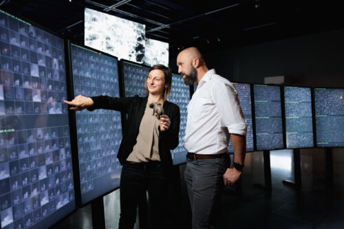 Understanding AI