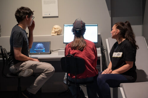 Experience brain research live – study participants wanted!