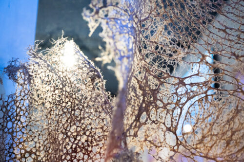 Interwoven
