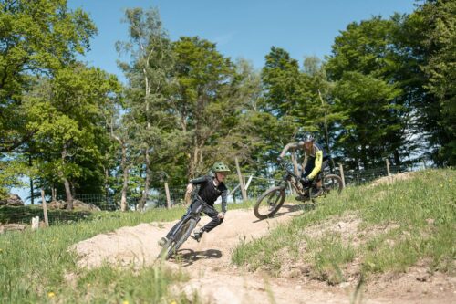 Legal Mountain Bike Trail Offer: Presentation of Roadlberg Trails