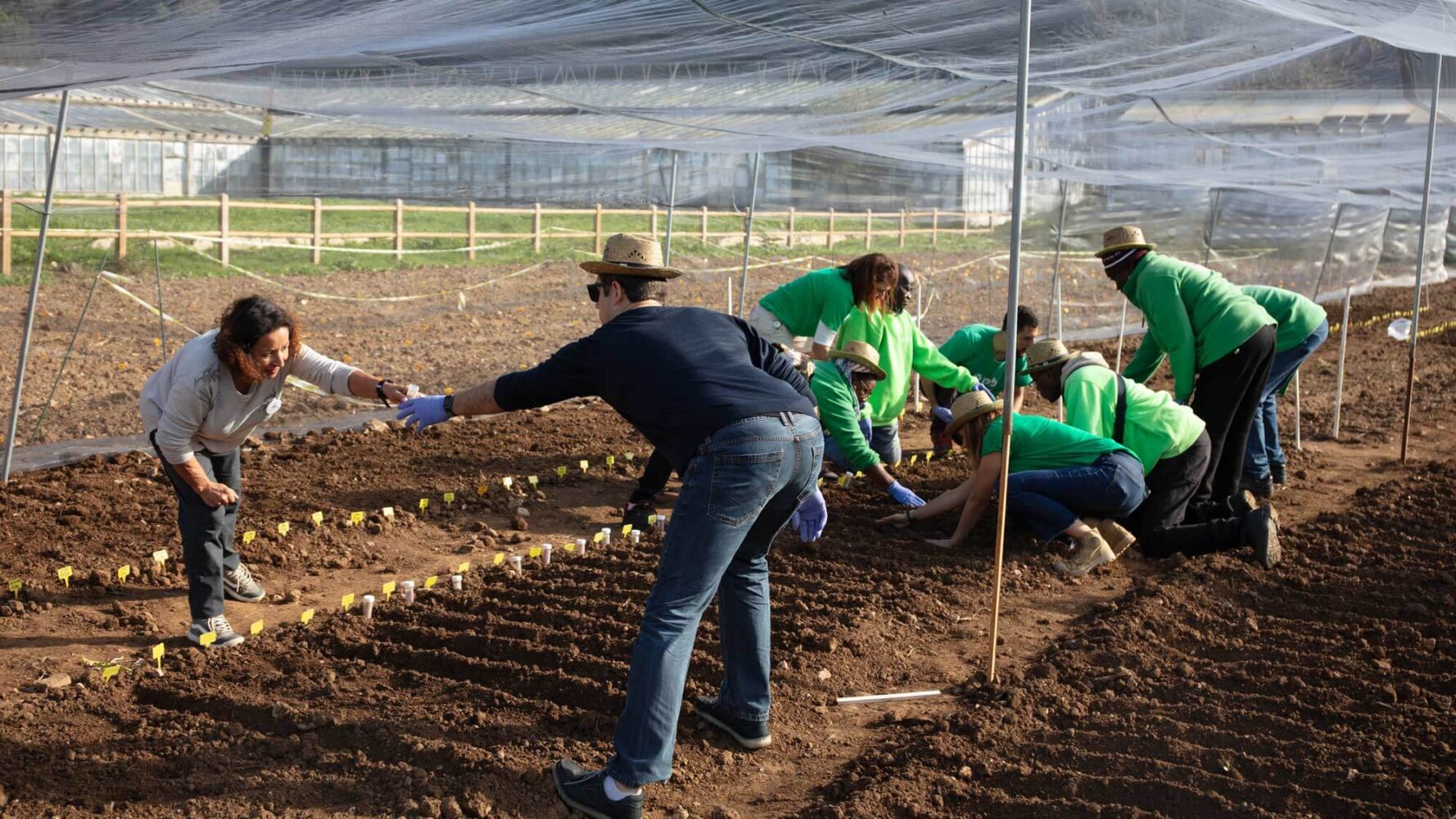 Oeiras Experimenta: Climate-Smart Crops for Sustainable Food Production