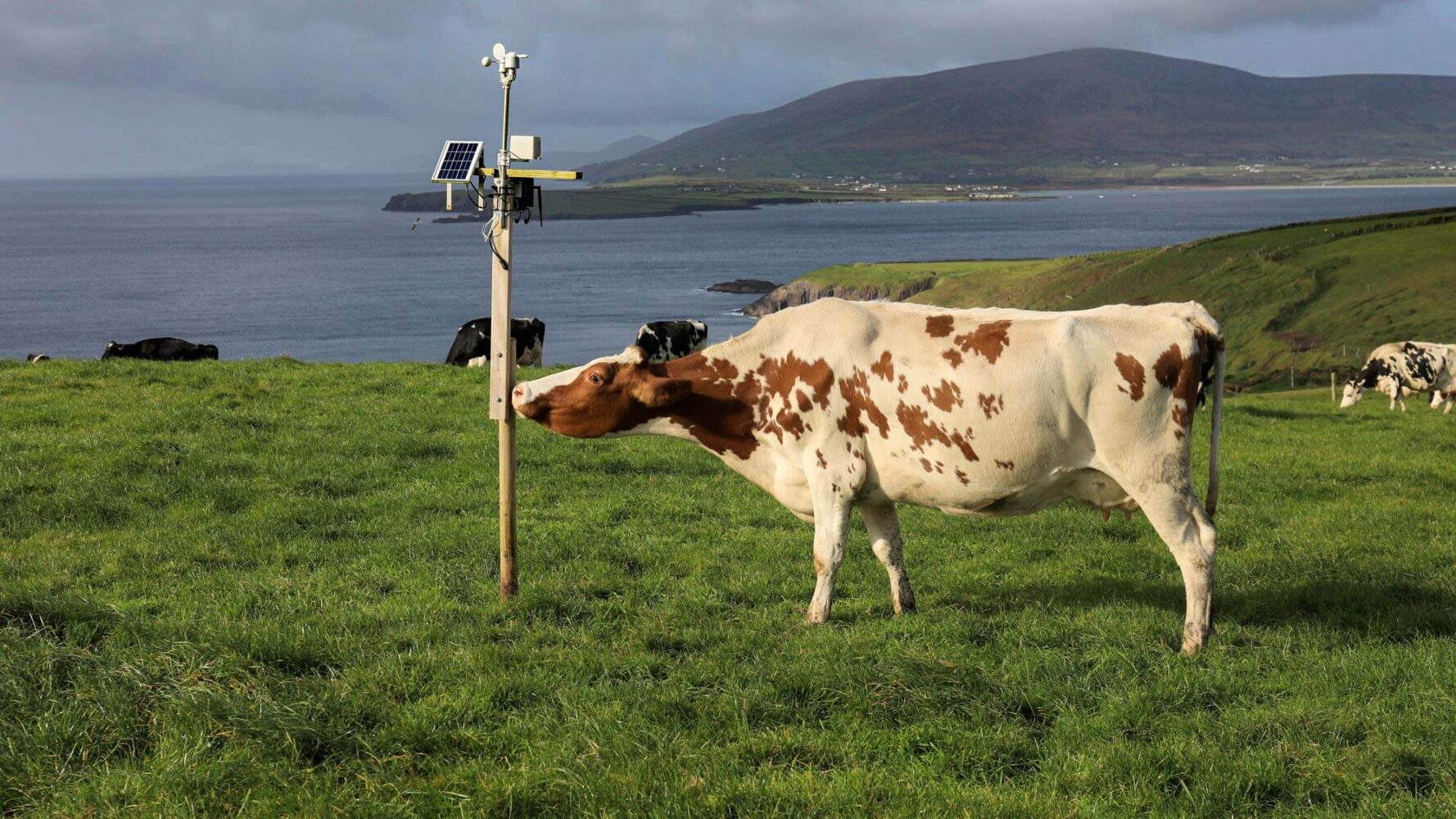 Dingle Peninsula Living Lab