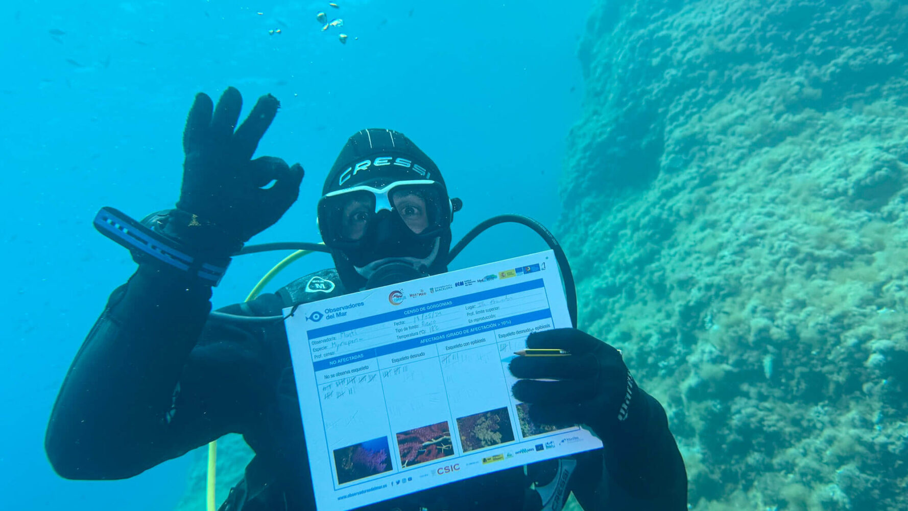 Observadores del Mar: Engaging Citizens in Marine Climate Monitoring