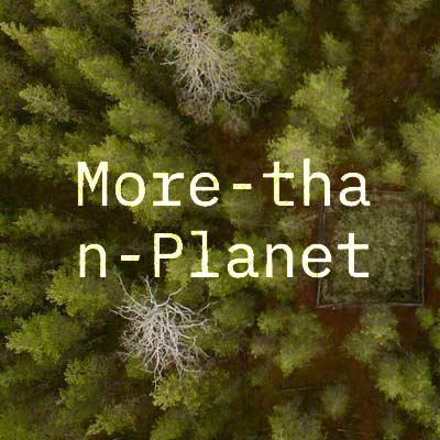 More than Planet