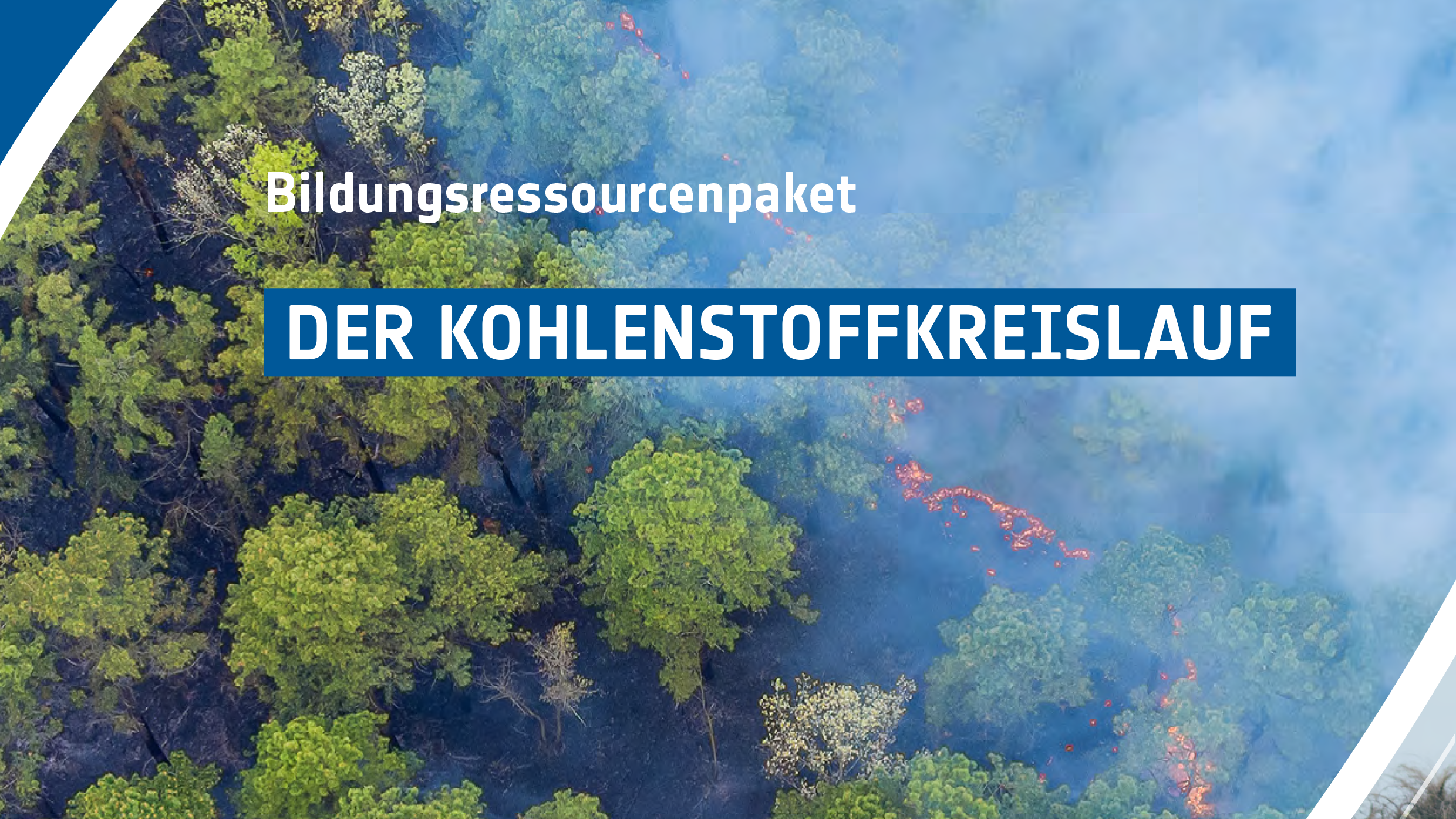 Der Kohlenstoffkreislauf