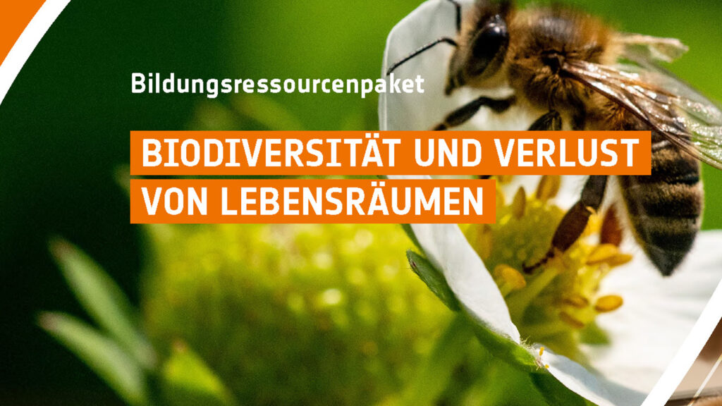 Biodiversität und Verlust von Lebensräumen