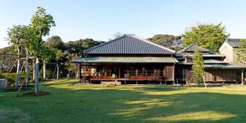 Matsudo International Science Art Festival – Garden of Creativity