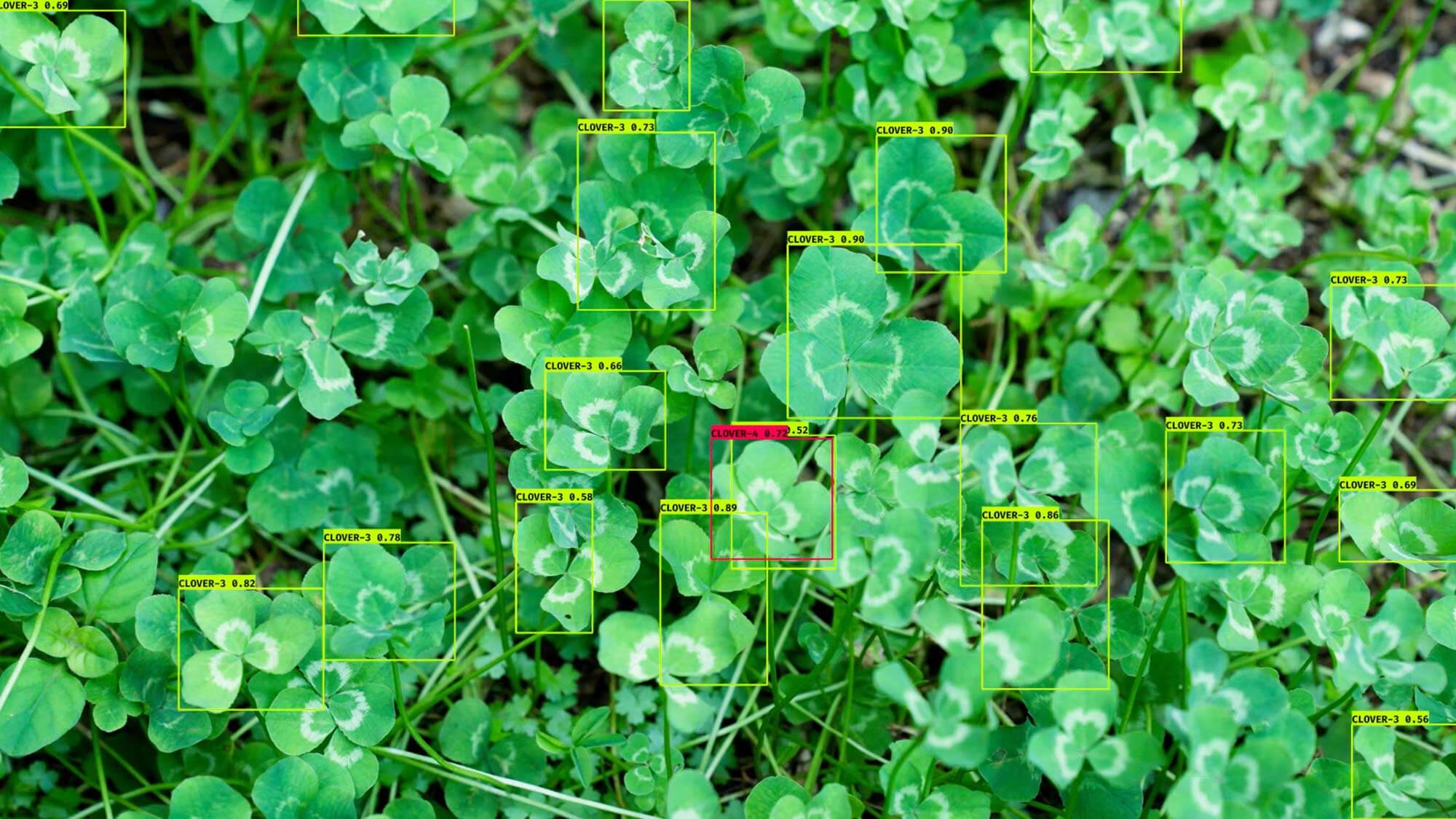 IDAF 2025: sputniko drone in search for a four-leaf clover
