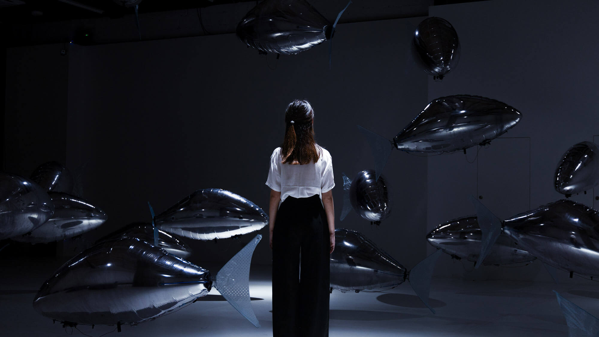 AE Gallery Image Slide