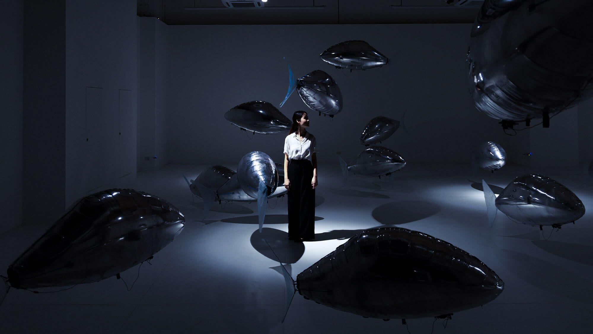 AE Gallery Image Slide