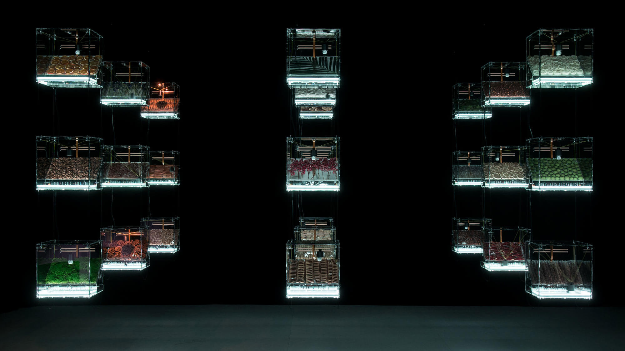 AE Gallery Image Slide