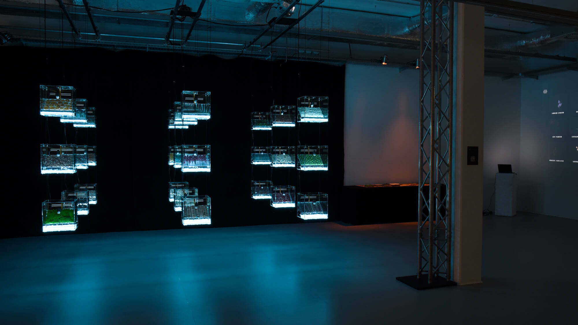 AE Gallery Image Slide