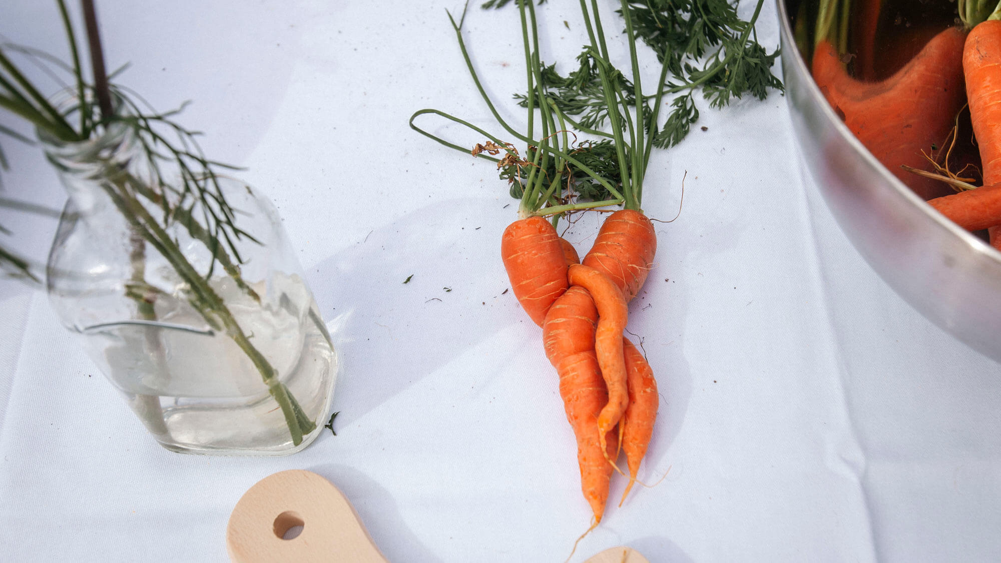 AE Gallery Image Slide