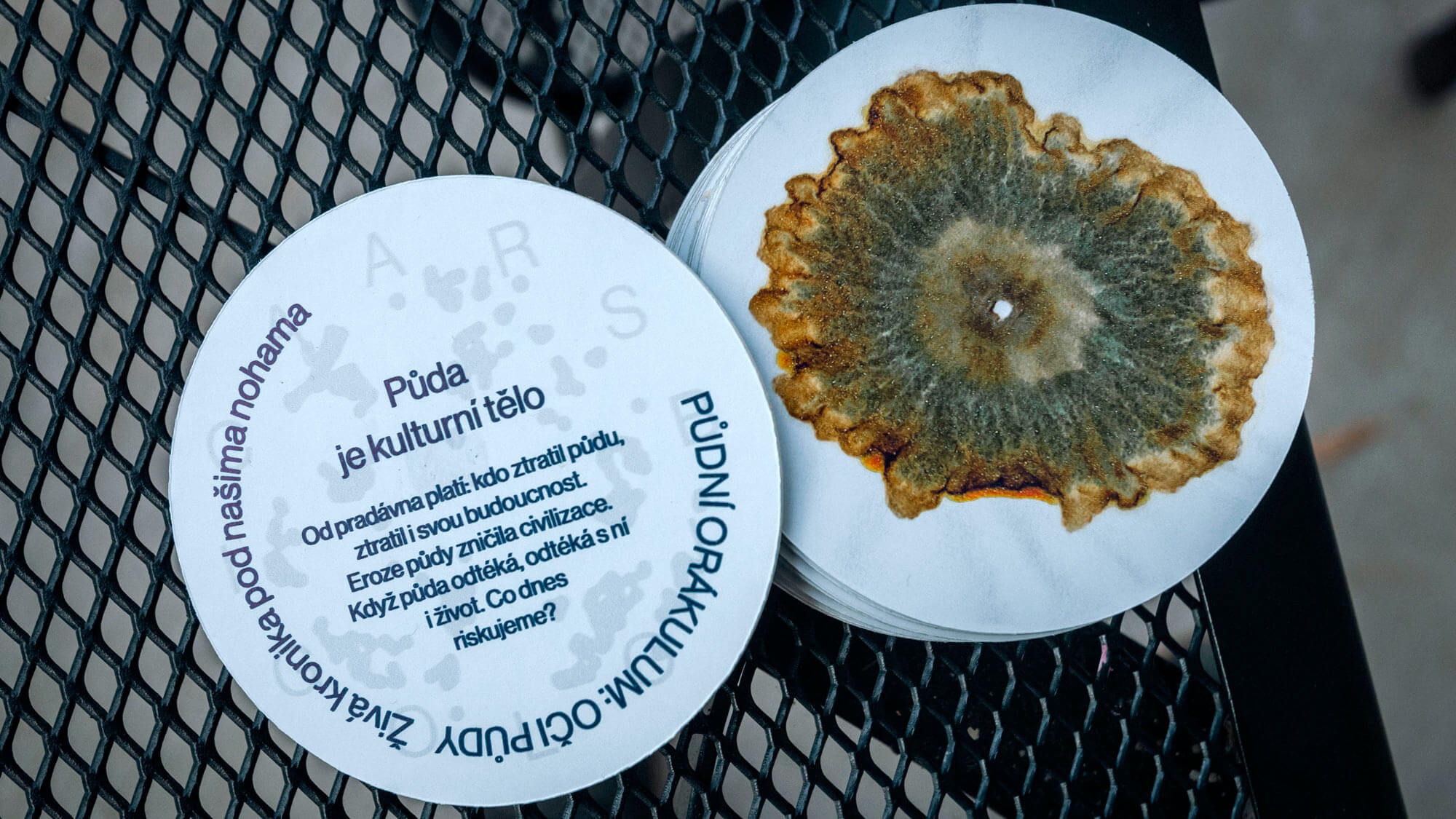 AE Gallery Image Slide