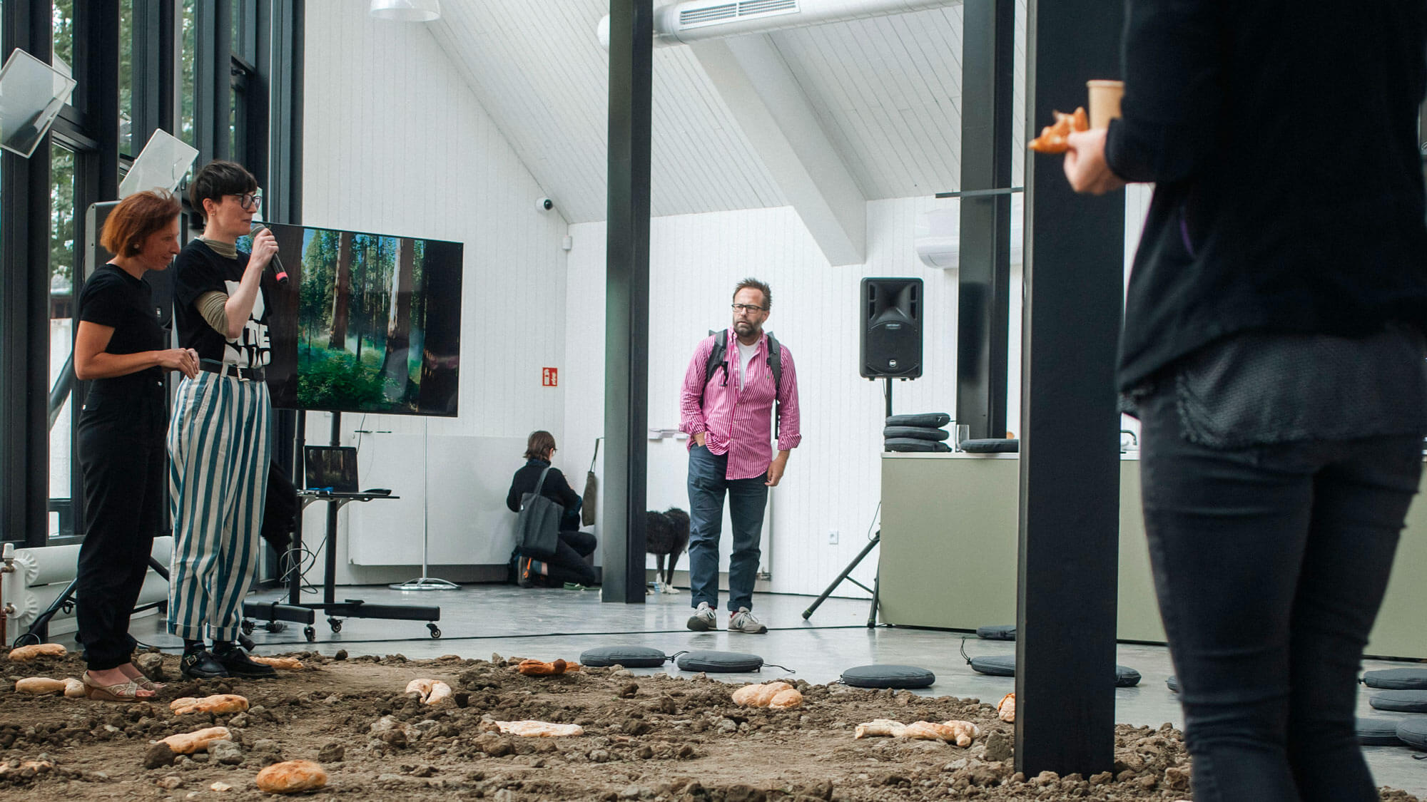 AE Gallery Image Slide