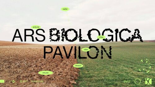 Ars Biologica Art X Science Prototype Residency