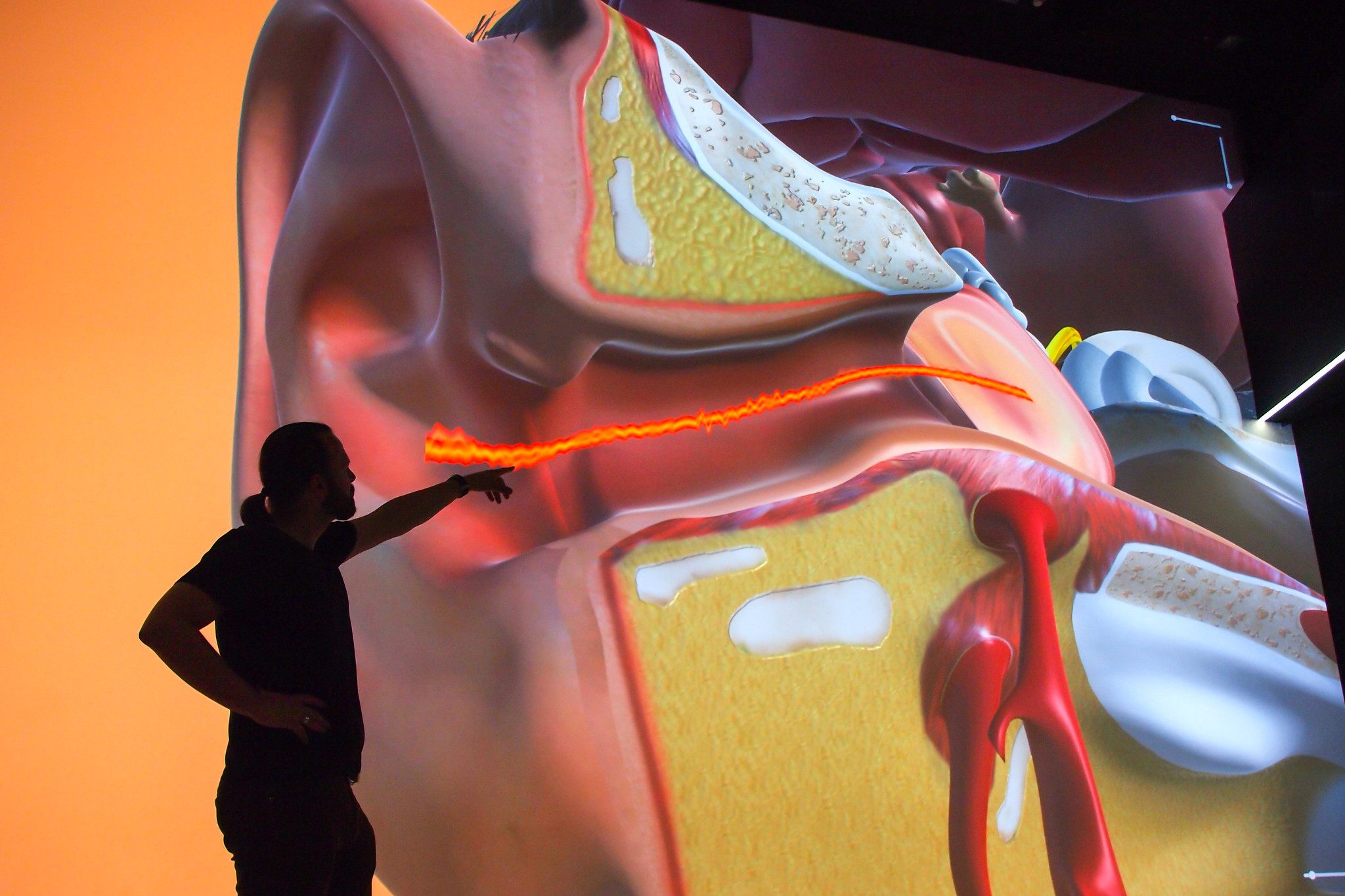 Human Bodies: The Universe Within / Ars Electronica Futurelab (AT)