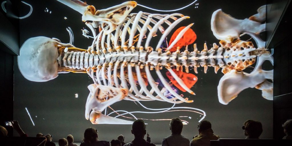 AE Gallery Image Slide