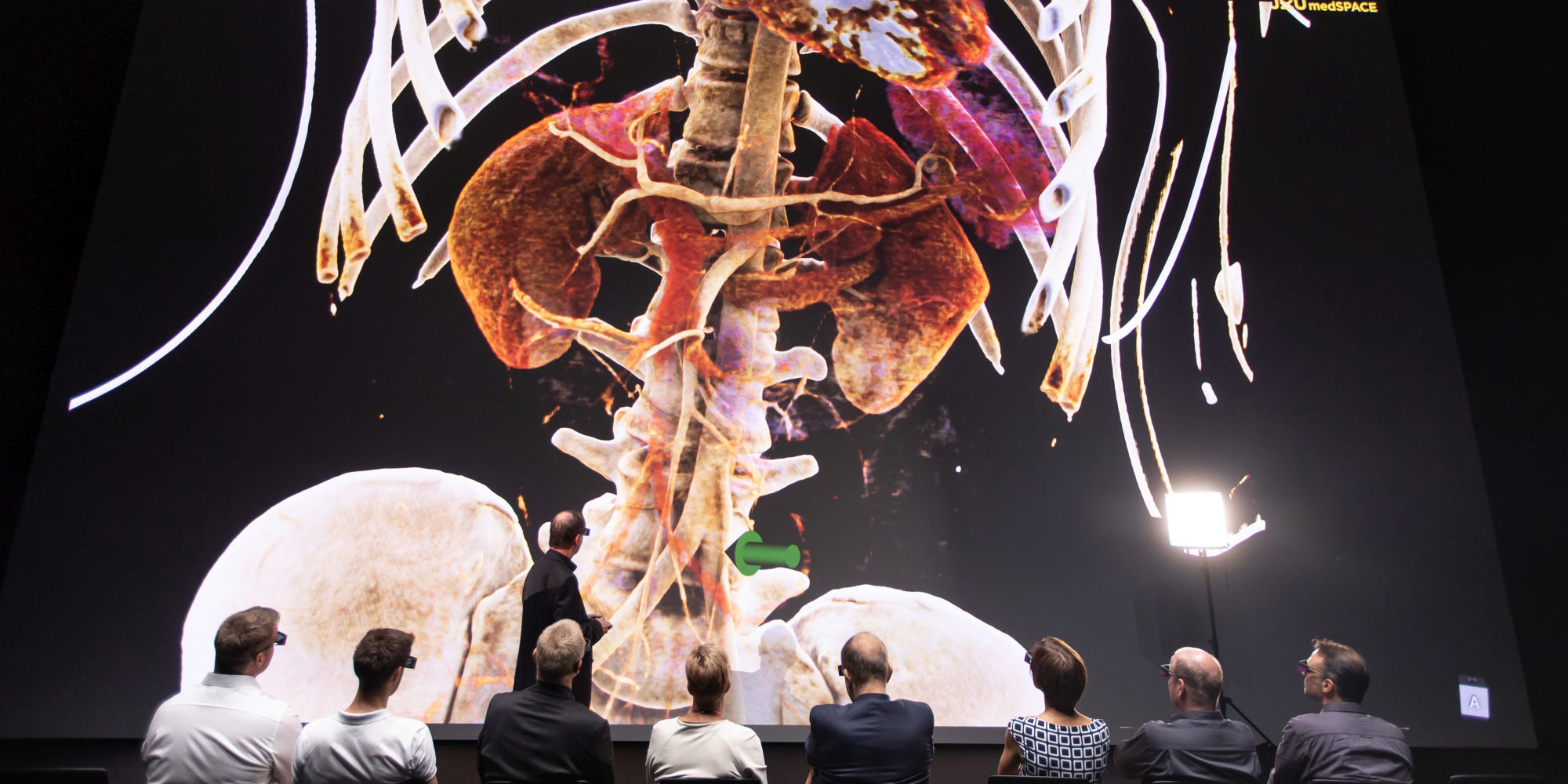 The blood supply of a living person, freely rotatable and zoomable, in unimagined detail from head to toe: "Virtual Anatomy" lets you see the previously impossible