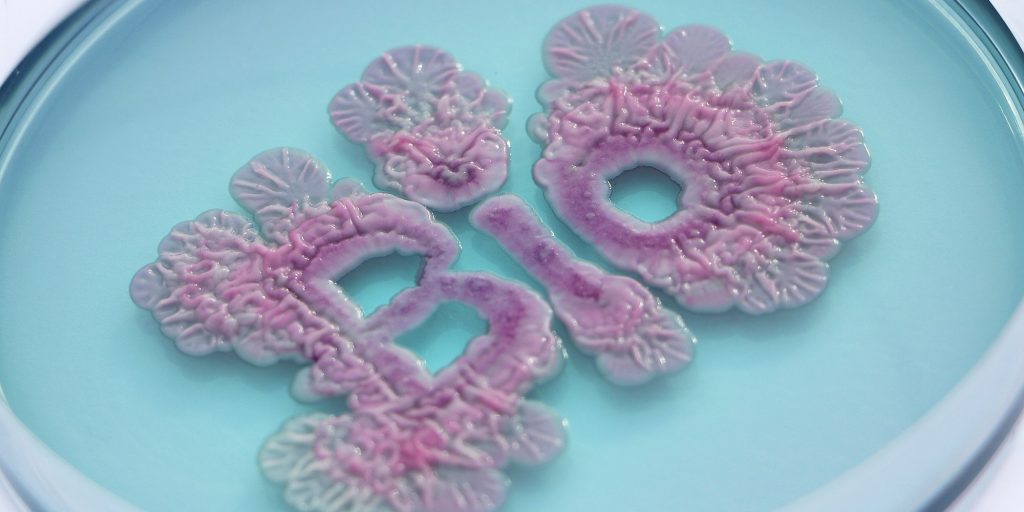 AE Gallery Image Slide