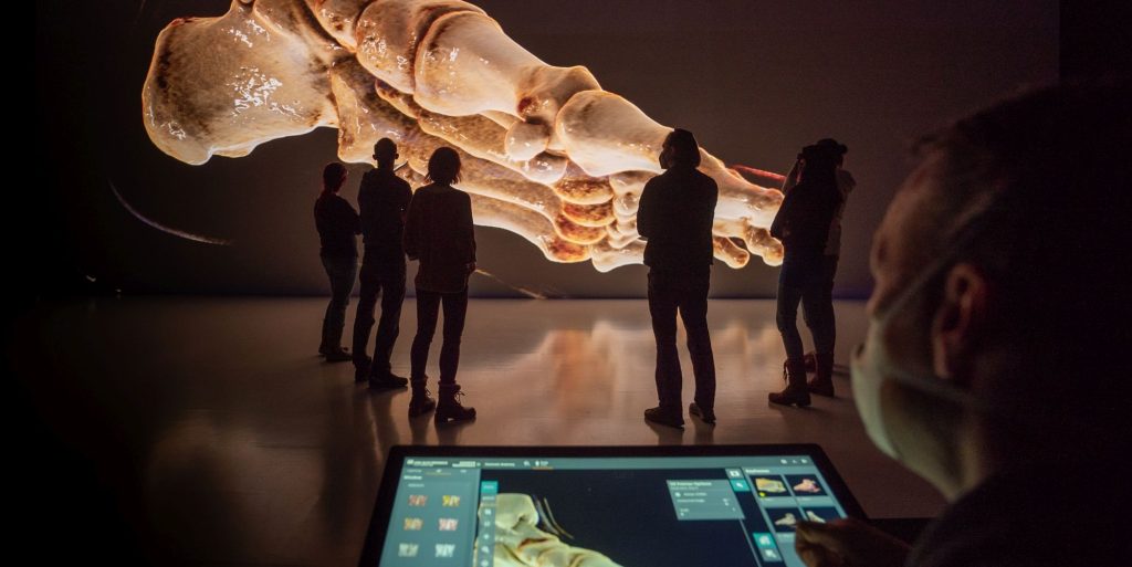 AE Gallery Image Slide