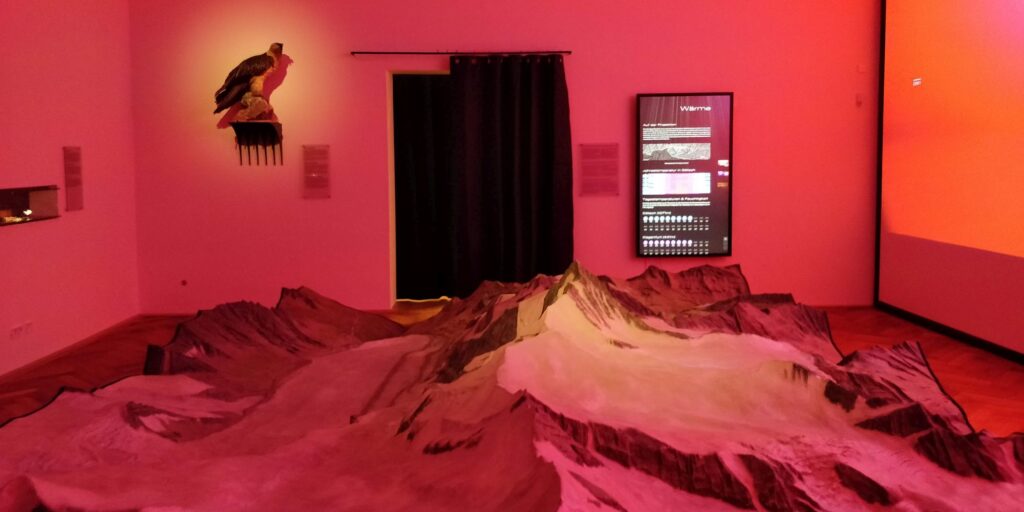 AE Gallery Image Slide