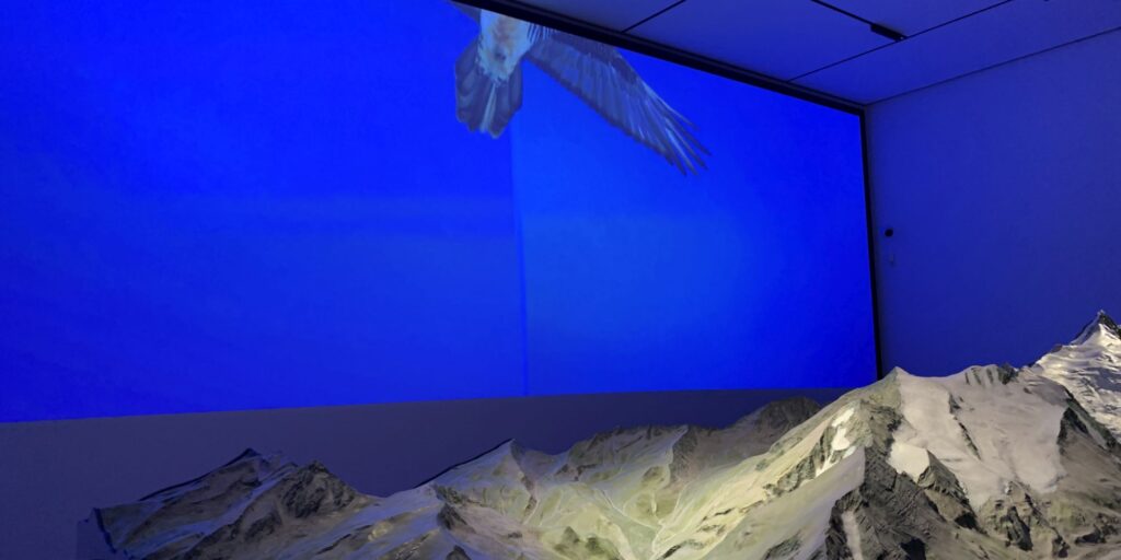 AE Gallery Image Slide