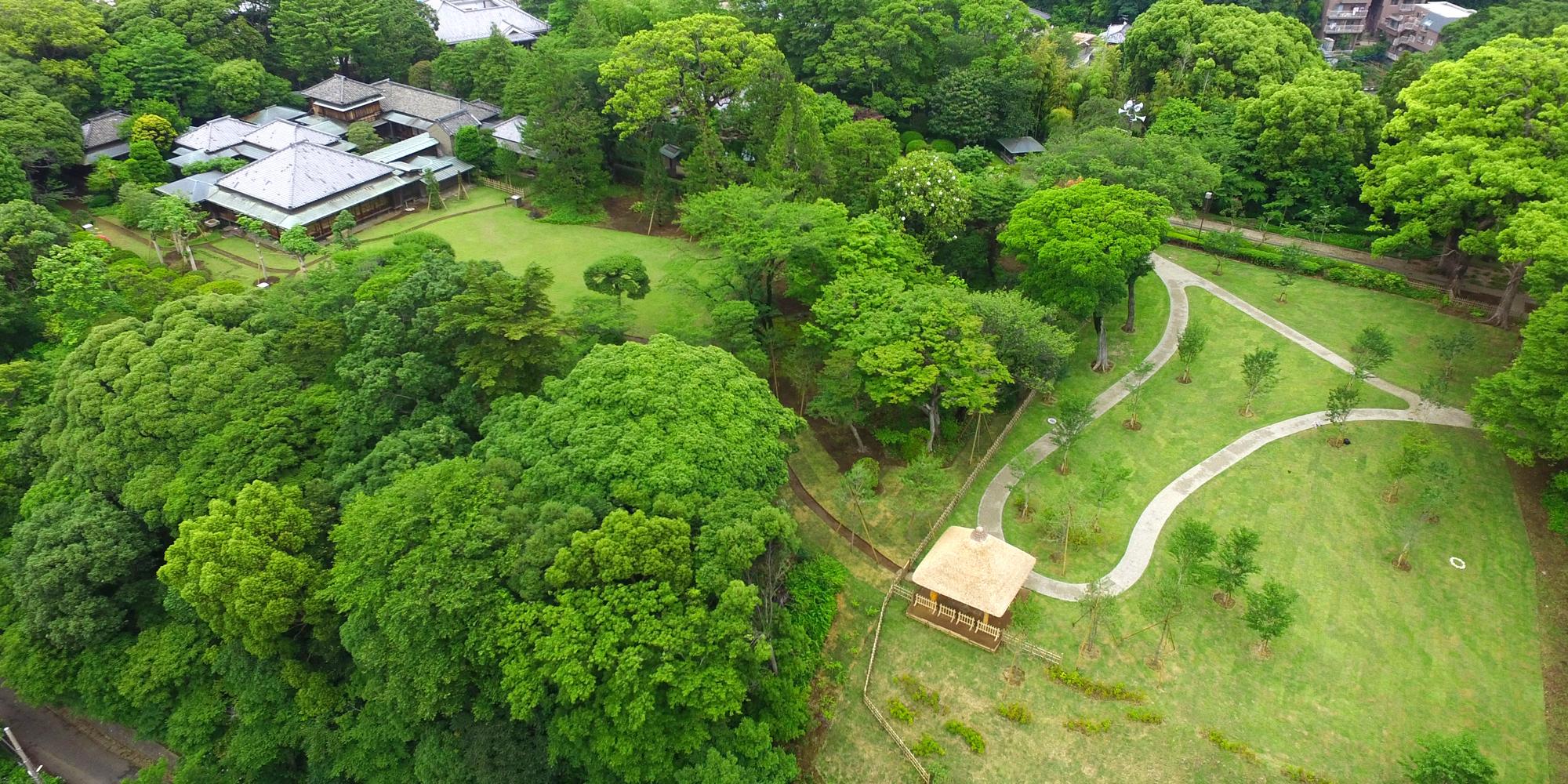 Matsudo International Science Art Festival: Tojo Park