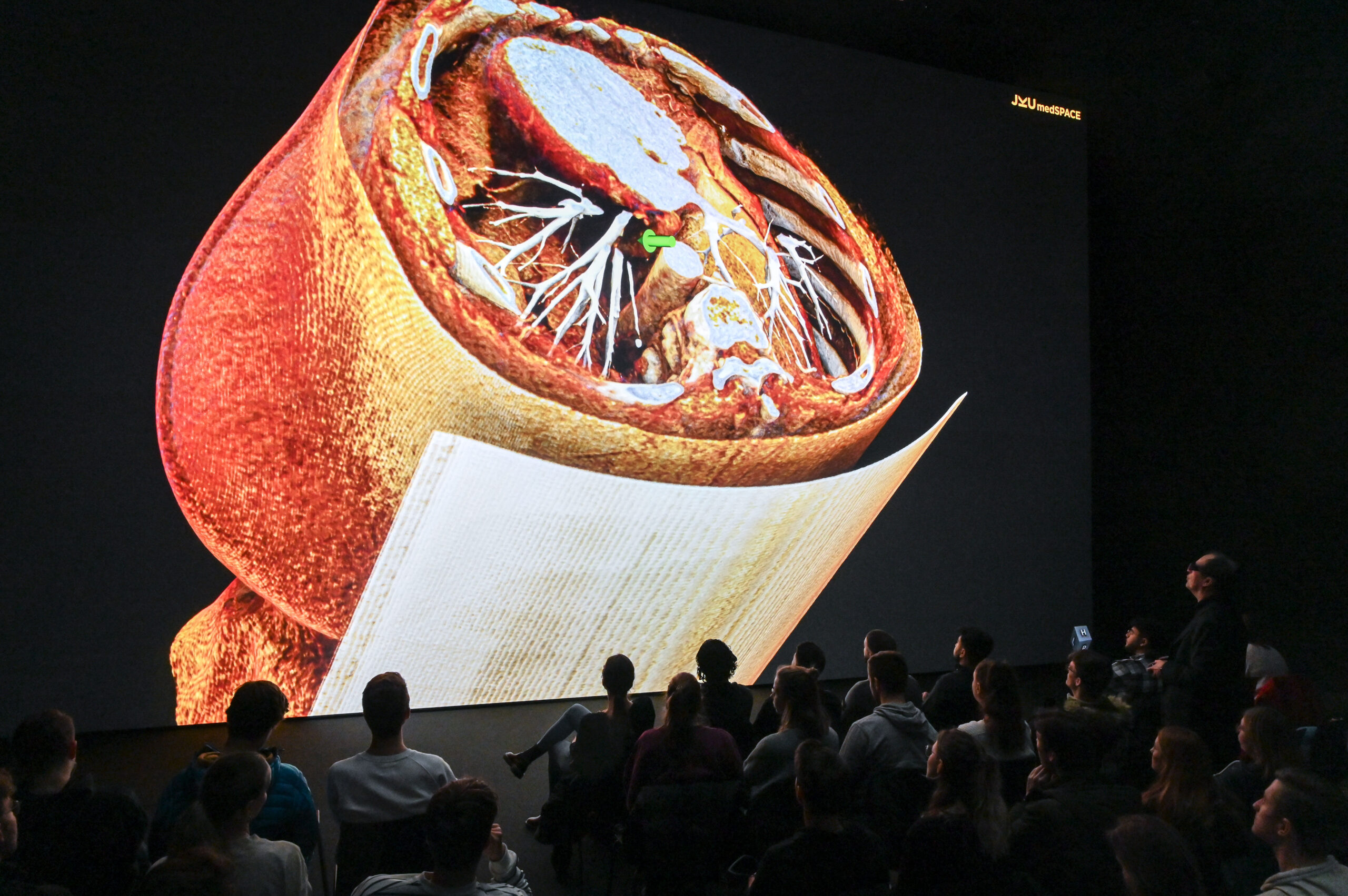 AE Gallery Image Slide