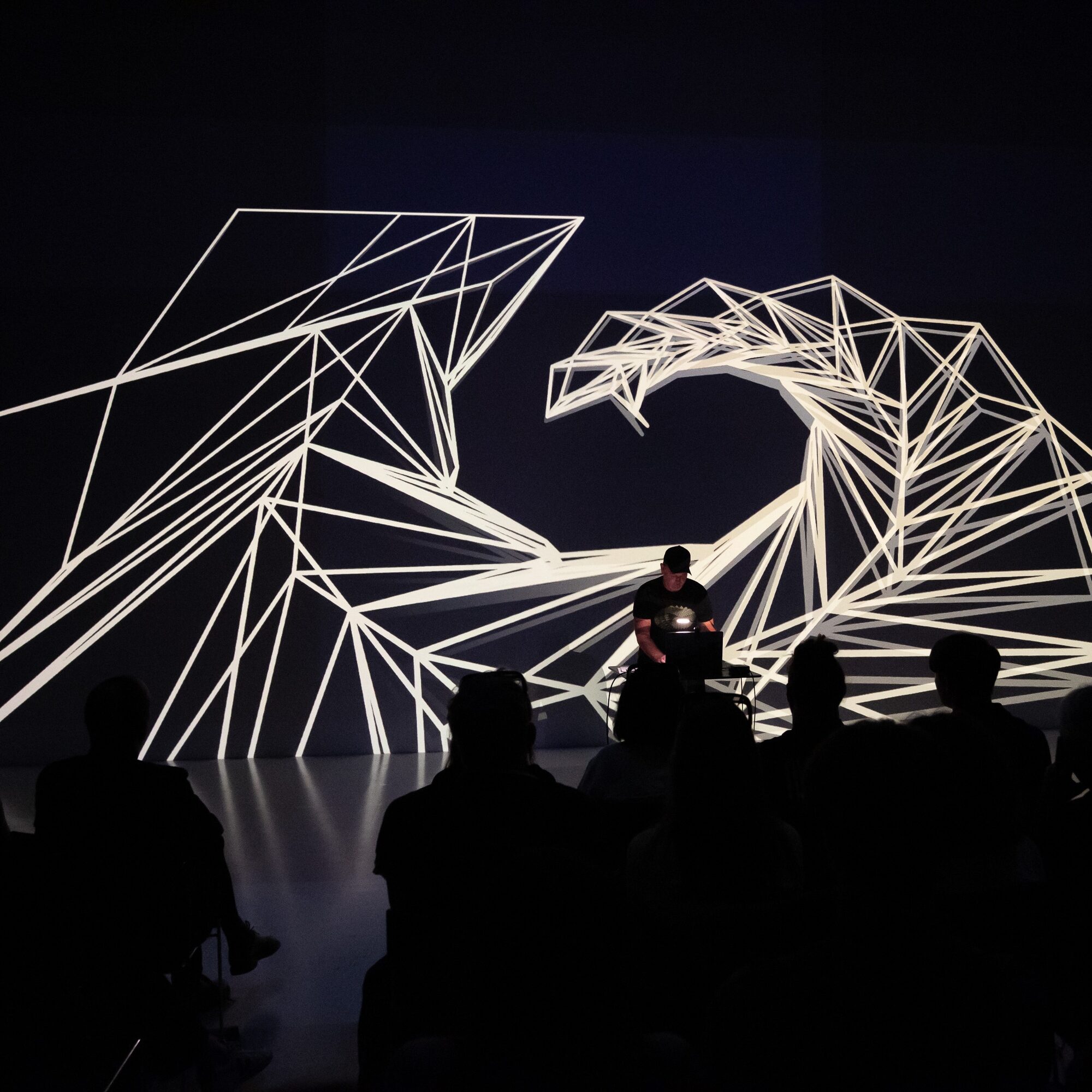 AE Gallery Image Slide