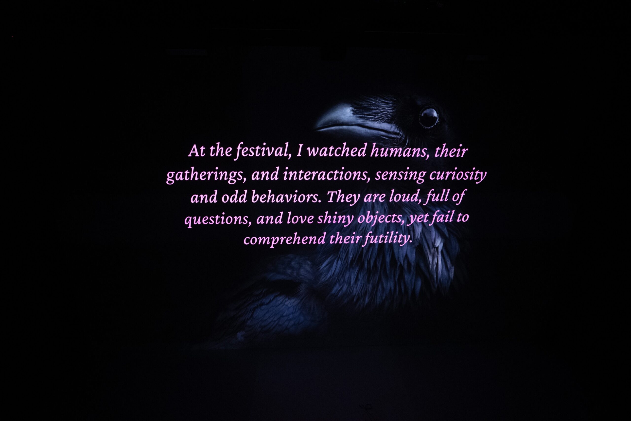 AE Gallery Image Slide