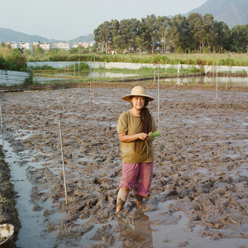 Lo Lai Lai Natalie
