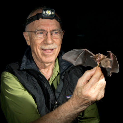 Merlin Tuttle