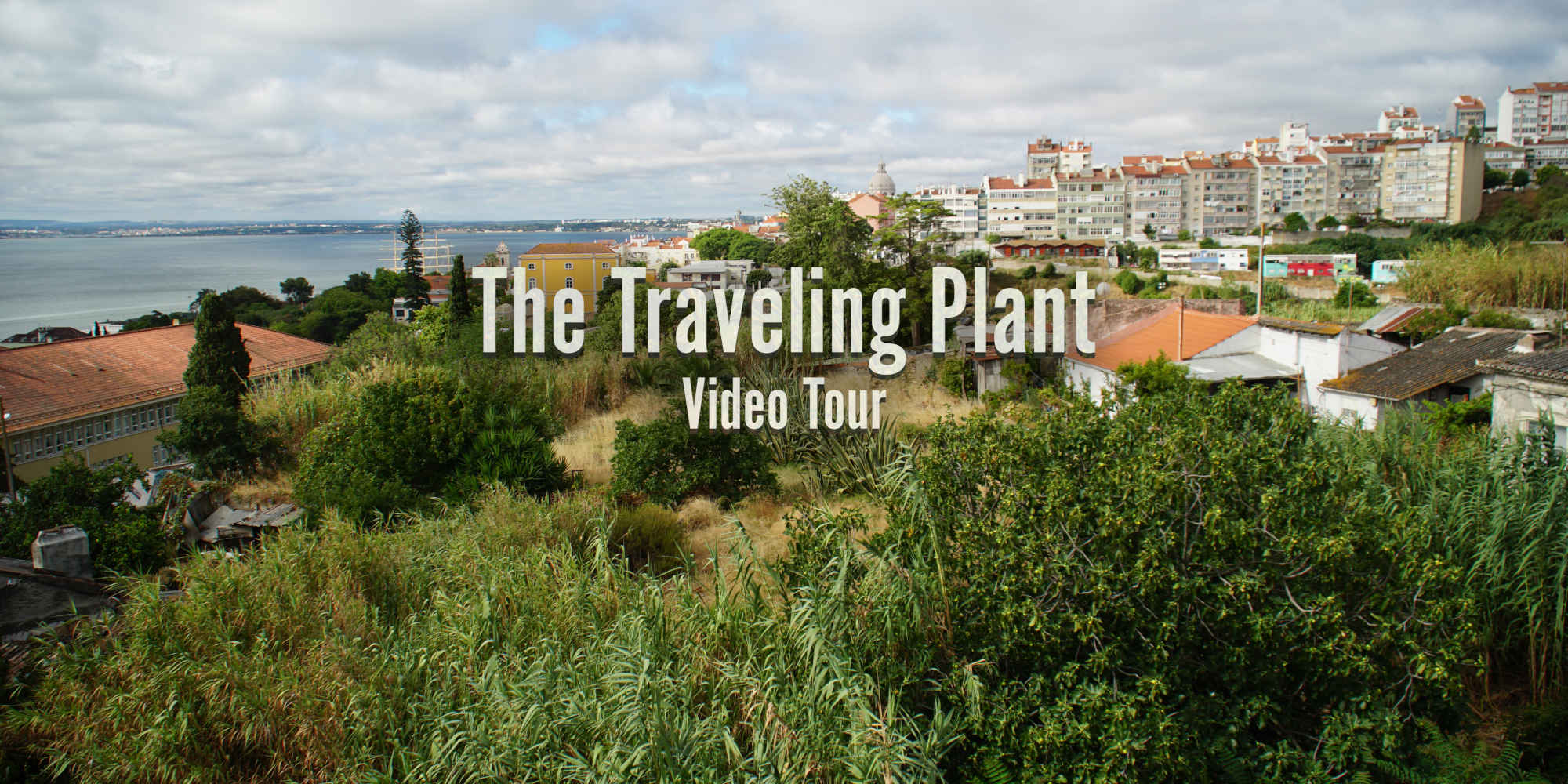 The Traveling Plan Project