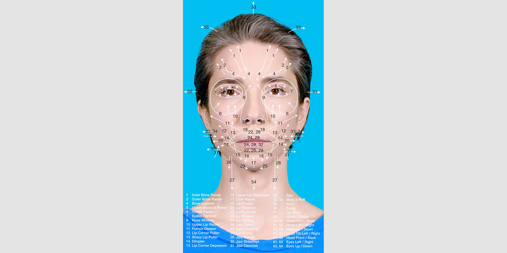 A research on emotion recognition software, 2018