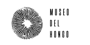 Museo del Hongo