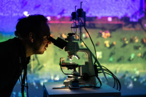 Mehr als 88.000 Besuche bei Ars Electronica 2023