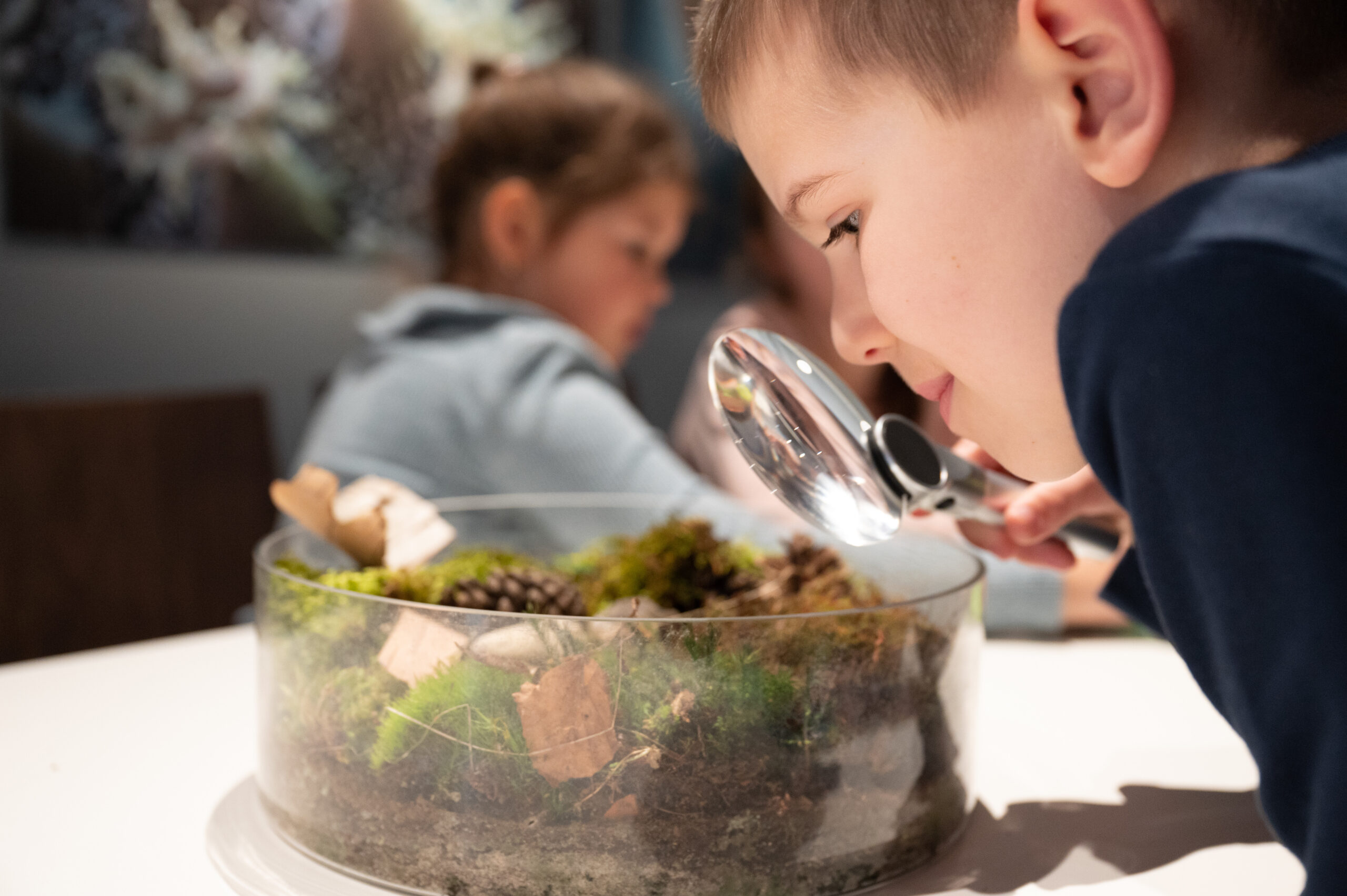 School Holiday Program at the Ars Electronica Center: Into the Universe and the Microcosm