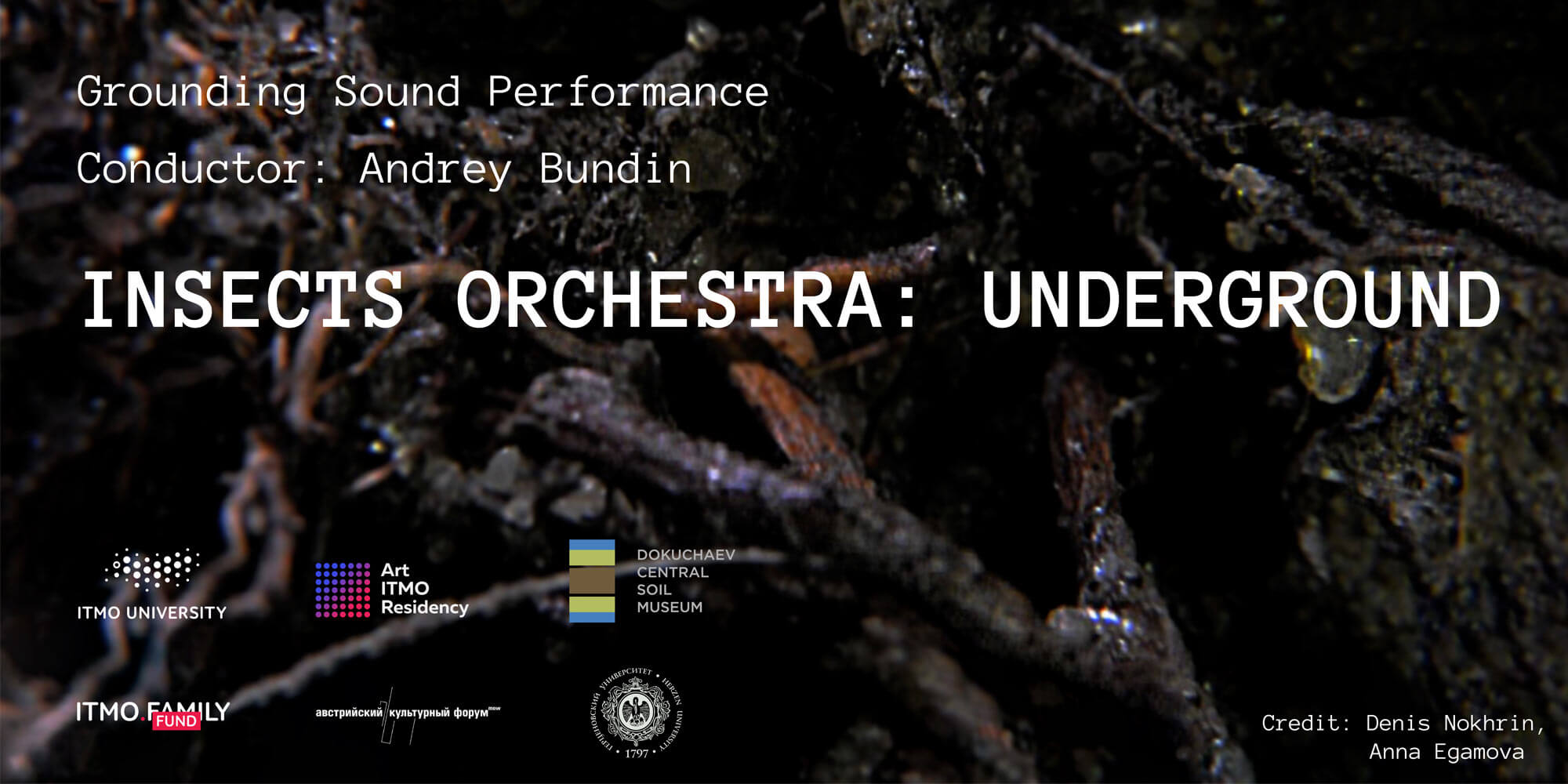 Sound performance “Insects Orchestra: Underground” – A New Digital Deal