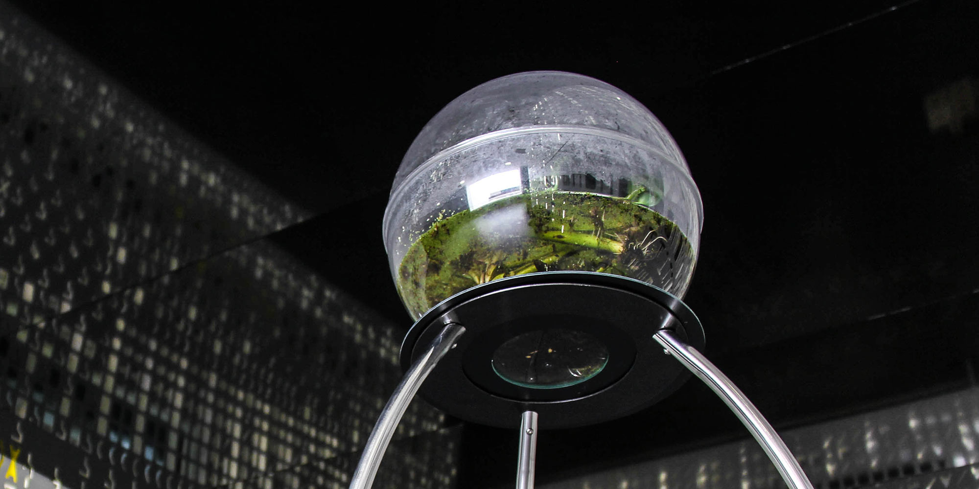 Biosphere/Joaquín Fargas (AR)