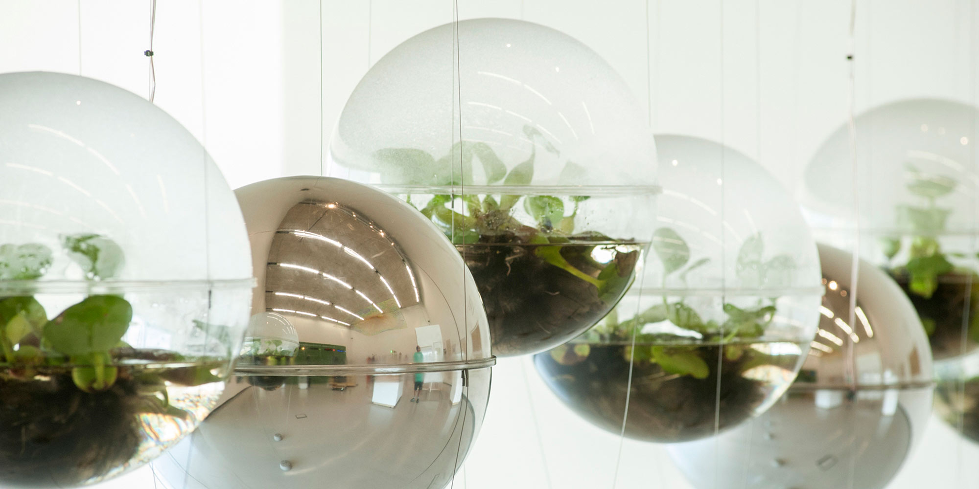 Biosphere/Joaquín Fargas (AR)