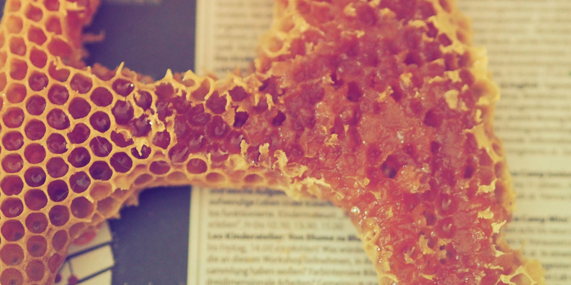 Material Poetry #2: ArcHIVE/Alexander Wöran (AT)